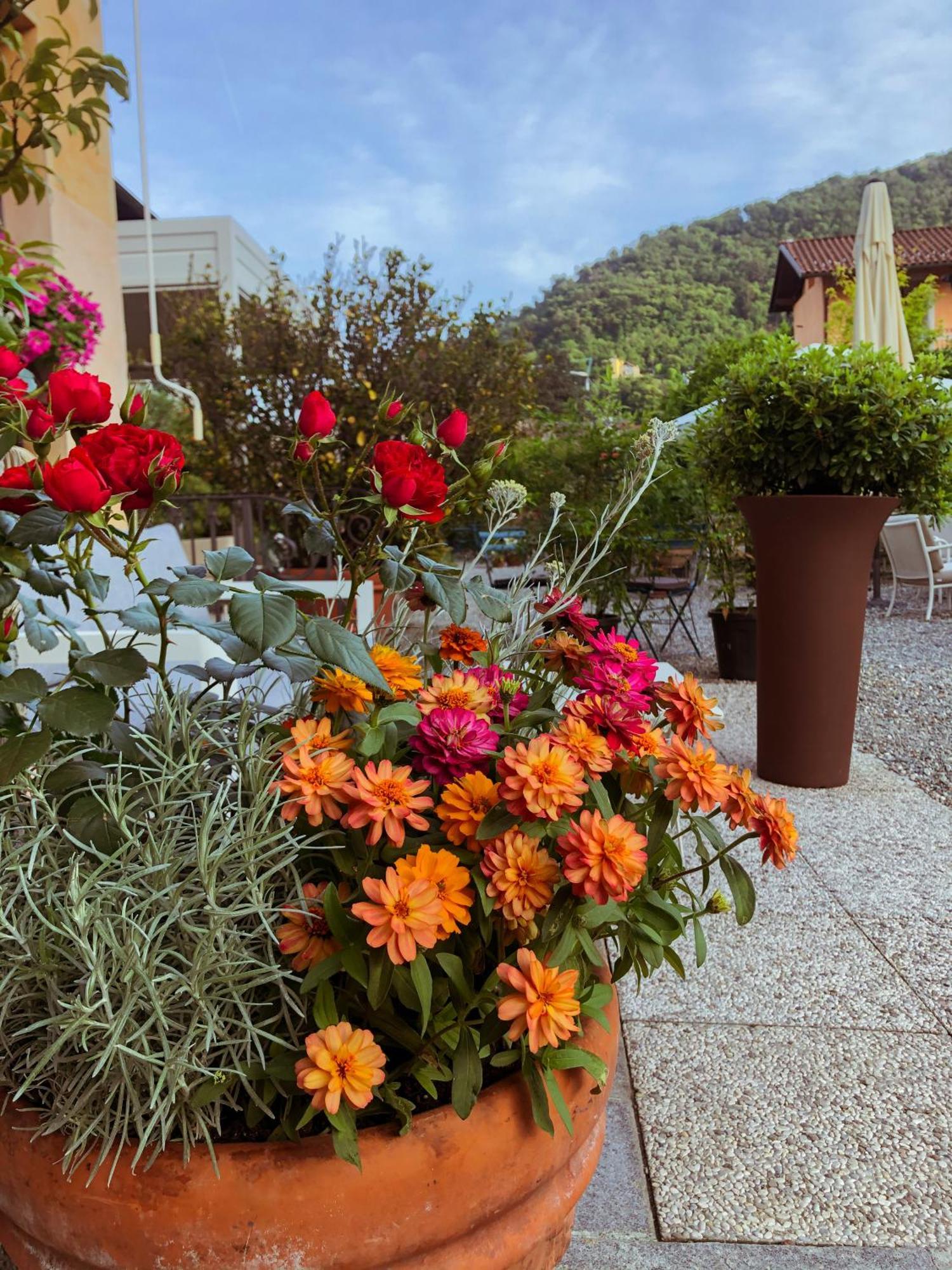 Hotel Antica Stallera Cannobio Eksteriør billede