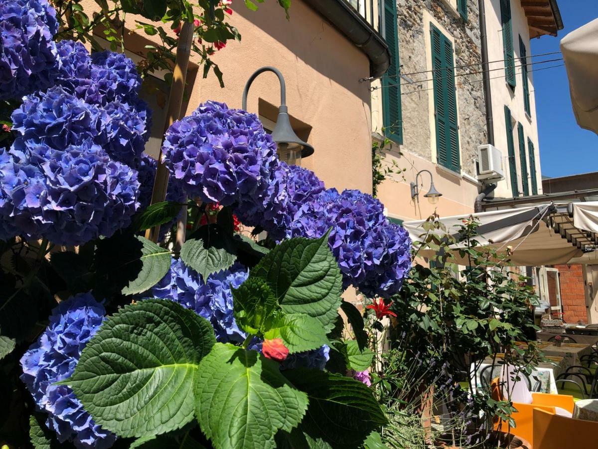 Hotel Antica Stallera Cannobio Eksteriør billede